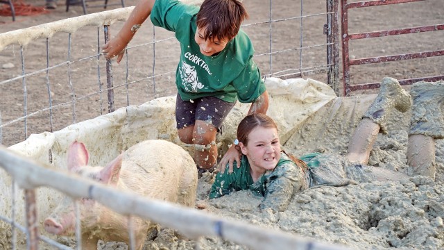Ryder Cauffman, left, and his teammate Laney Wennberg compete in the pig wrestling competition with their team Corktails Assassins Thursday at the Big Horn County Fair in Basin. Lisa Kunkel